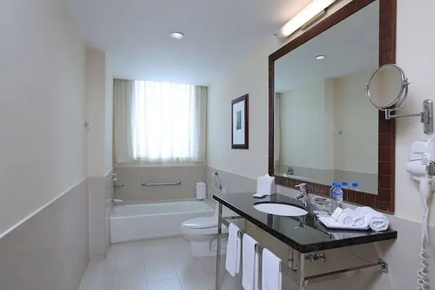 Executive Oda, 1 En Büyük (King) Boy Yatak ve Çekyat, Şehir Manzaralı