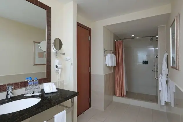 Executive Oda, 1 En Büyük (King) Boy Yatak ve Çekyat, Şehir Manzaralı