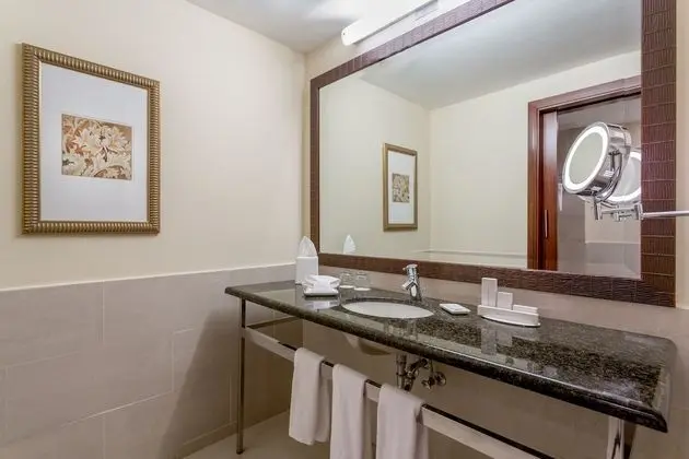 Standard Tek Kişilik Oda, 1 En Büyük (King) Boy Yatak, Şehir Manzaralı