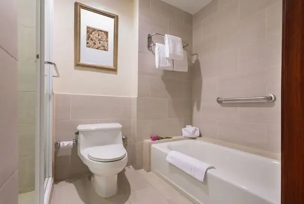 Standard Tek Kişilik Oda, 1 En Büyük (King) Boy Yatak, Şehir Manzaralı