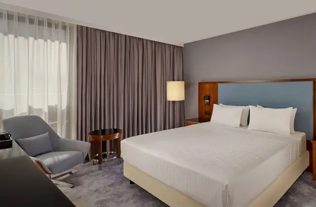 Deluxe Oda, 1 En Büyük (King) Boy Yatak, Sigara İçilmez