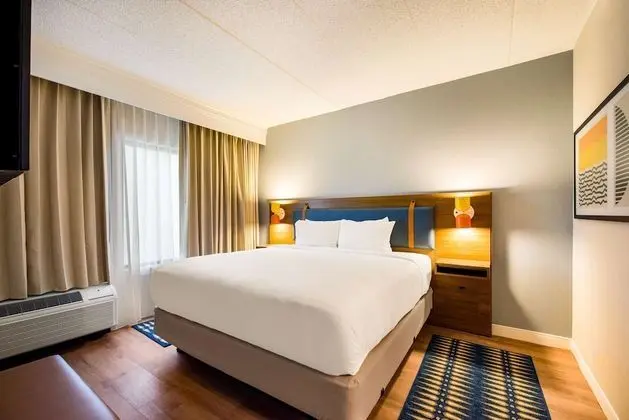 Süit, 1 En Büyük (King) Boy Yatak ve Çekyat (One Bedroom)