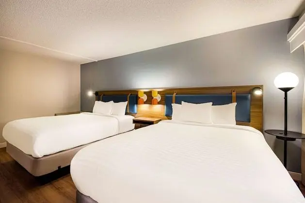 Süit, Birden Çok Yatak (One Bedroom Two Queens)