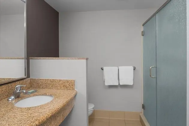 Oda, 1 En Büyük (King) Boy Yatak ve Çekyat (Hearing Accessible)