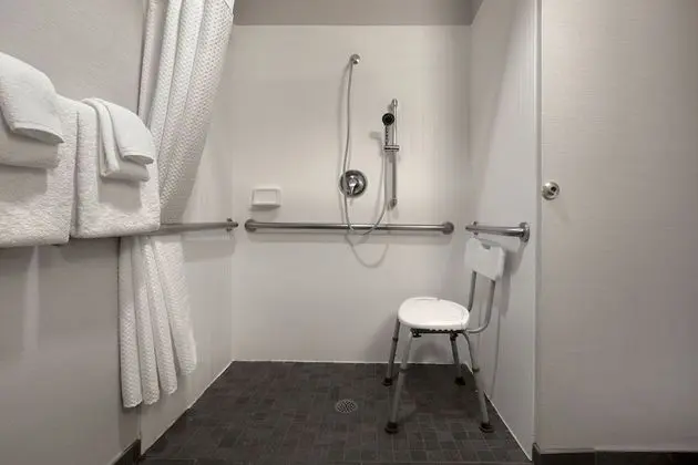 Oda, 1 En Büyük (King) Boy Yatak ve Çekyat (Mobility Accessible, Roll-In Shower)