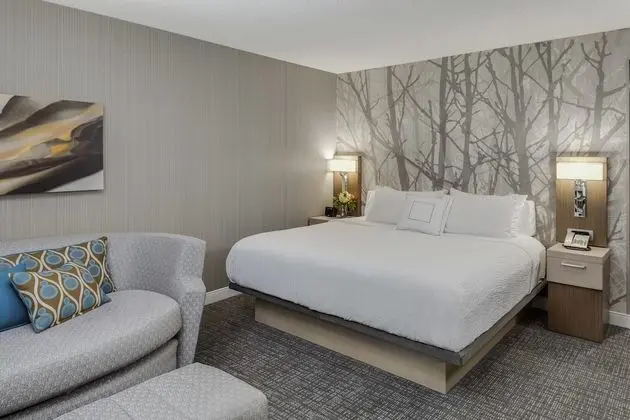 Oda, 1 En Büyük (King) Boy Yatak ve Çekyat (Mobility/Hearing Access, Roll-In Shwr)