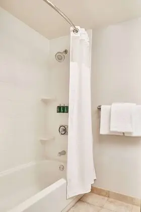 Süit, Birden Çok Yatak (One Bedroom Two Queens)