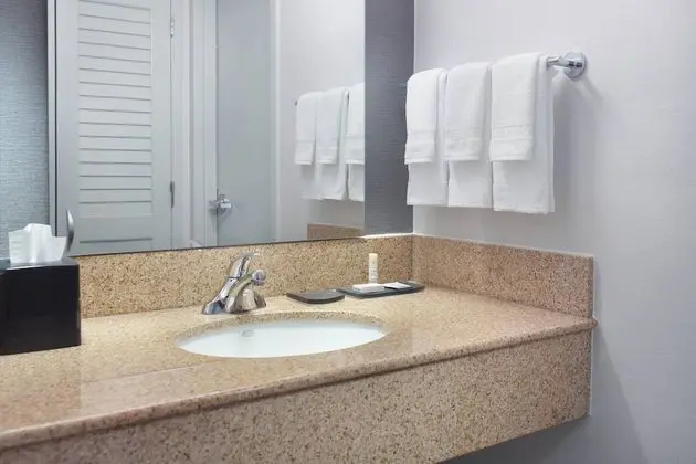 Oda, 1 En Büyük (King) Boy Yatak ve Çekyat (Mobility/Hearing Accessible, Tub)