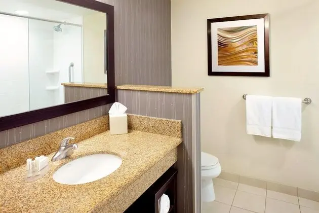 Oda, 1 En Büyük (King) Boy Yatak ve Çekyat (Mobility Accessible, Tub)