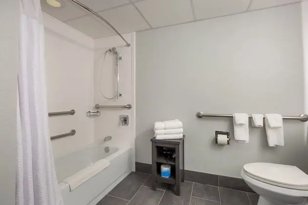 Oda, 1 En Büyük (King) Boy Yatak ve Çekyat (Mobility/Hearing Accessible, Tub)