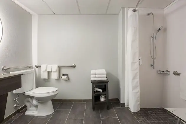 Oda, 1 En Büyük (King) Boy Yatak ve Çekyat (Mobility/Hearing Accessible, Tub)