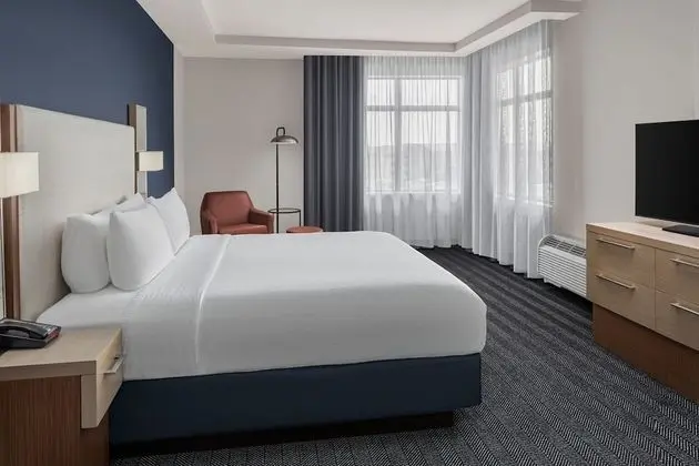 Süit, 1 Yatak Odası, Sigara İçilmez