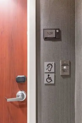 Oda, 1 En Büyük (King) Boy Yatak ve Çekyat (Mobility/Hearing Access, Roll-In Shwr)
