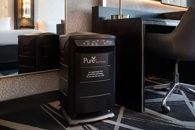 Süit, 1 En Büyük (King) Boy Yatak ve Çekyat (Pure)