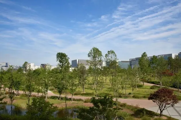 Süit, 1 Yatak Odası, Park Manzaralı