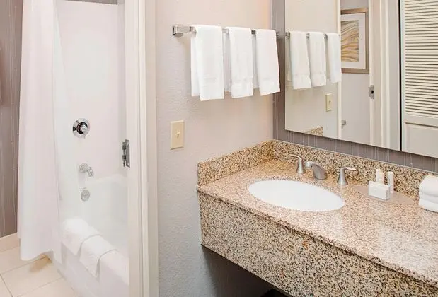 Oda, 1 En Büyük (King) Boy Yatak ve Çekyat (Mobility/Hearing Accessible, Tub)