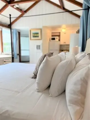 Deluxe King Suite, 1 King Bed w/ Kitchen, Non Smoking, 2 guests - pets allowed w/ fee