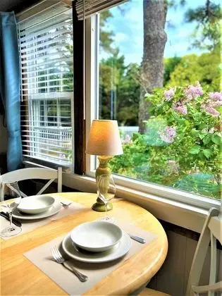 Deluxe King Suite, 1 King Bed w/ Kitchen, Non Smoking, 2 guests - pets allowed w/ fee