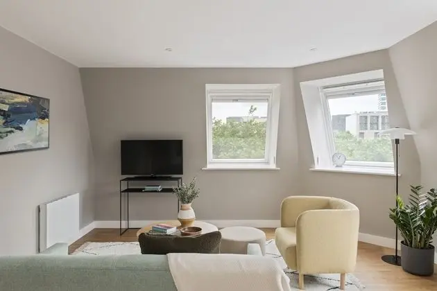 One Bedroom Apartment Plus