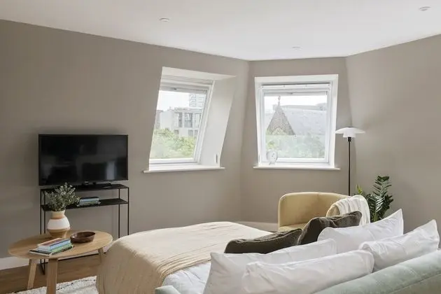 One Bedroom Apartment Plus