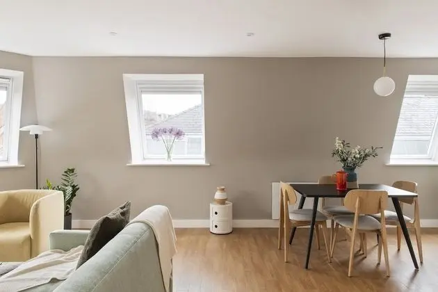 One Bedroom Apartment Plus
