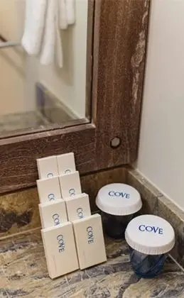Deluxe İki Ayrı Yataklı Oda, Havuz Kenarı