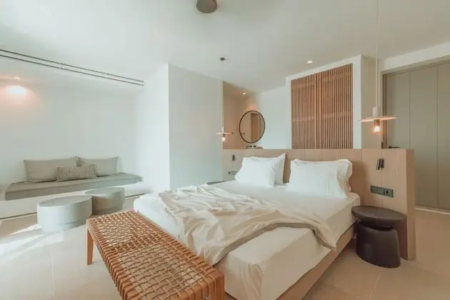 Junior Studio Suite with Terrace