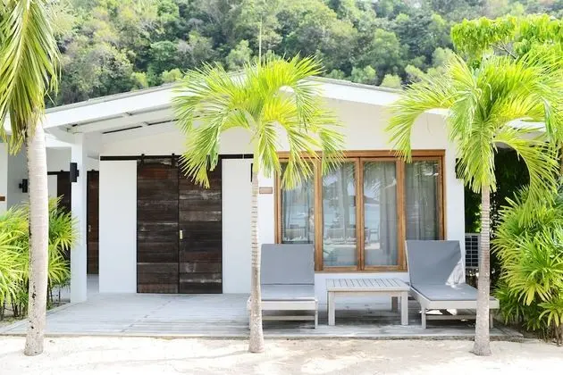 Coconut Palm - Seaview