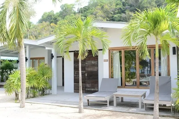 Coconut Palm - Seaview