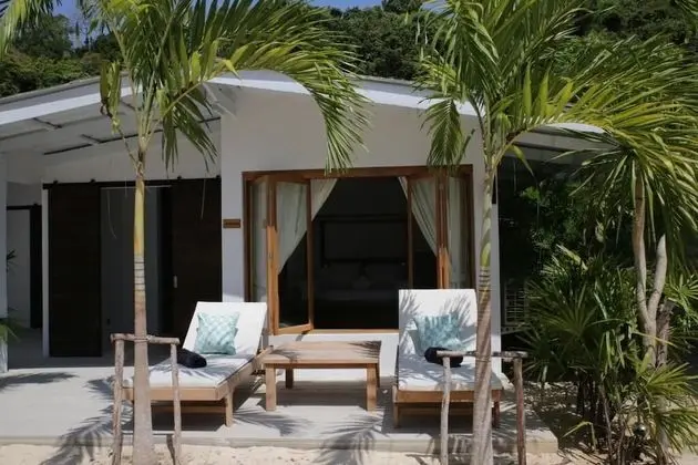 Coconut Palm - Seaview