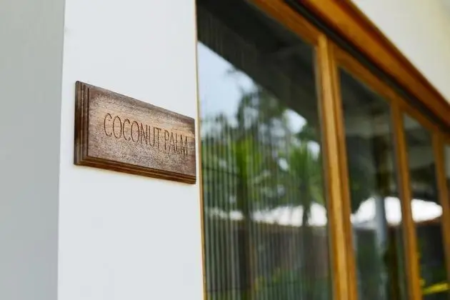 Coconut Palm - Seaview