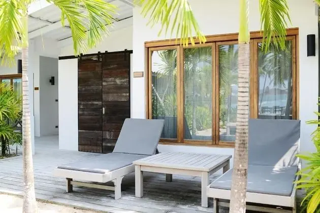 Coconut Palm - Seaview