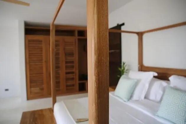 Coconut Palm - Seaview