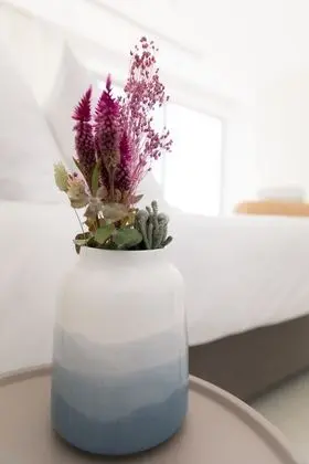 Elite Villa