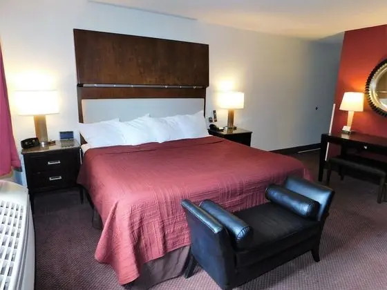 Standard Süit, 1 En Büyük (King) Boy Yatak, Şömine