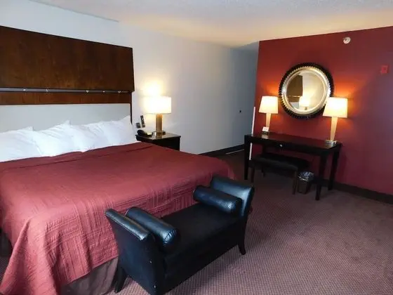 Standard Süit, 1 En Büyük (King) Boy Yatak, Şömine