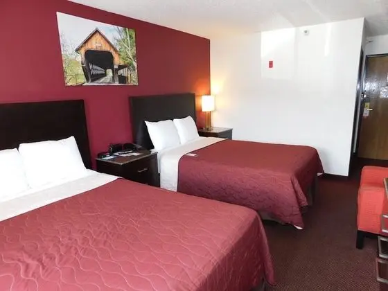 Standard Tek Büyük Yataklı Oda, 2 Çift Kişilik Yatak, Buzdolabı ve Mikrodalga