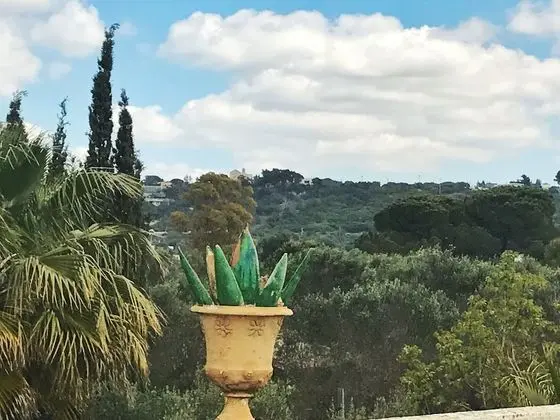 Villa, 4 Yatak Odası, Kişiye Özel Havuzlu