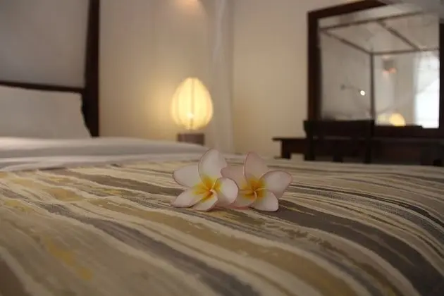 Superior Tek Büyük Yataklı Oda, 1 En Büyük (King) Boy Yatak, Resort Manzaralı