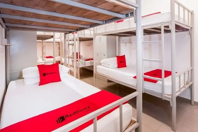 Deluxe Kulübe, Karma Ranzalı Oda (1 Bed in 14 Bed Shared Room)