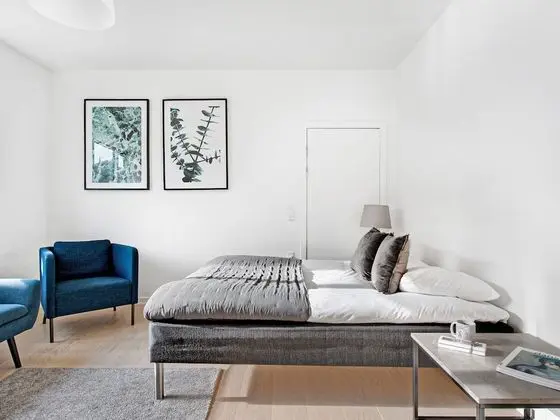 Apart Daire, 1 Yatak Odası, Buzdolabı