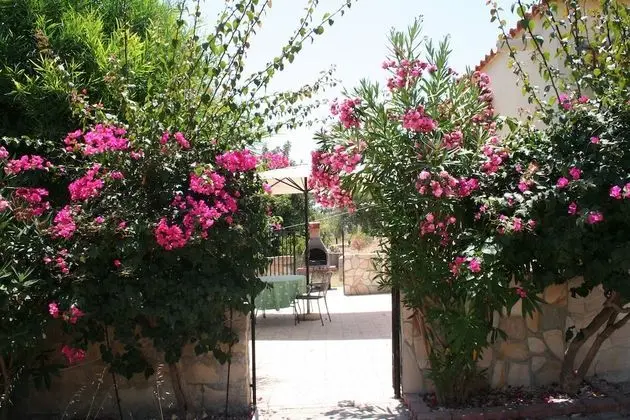 Ev, 1 Yatak Odası, Teras