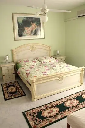 Ev, 1 Yatak Odası, Teras