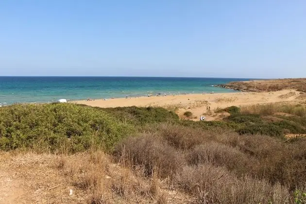 Ev, 1 Yatak Odası, Teras