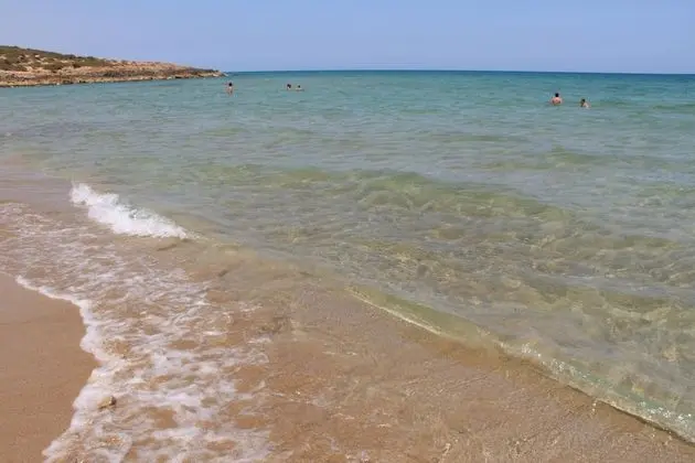 Ev, 1 Yatak Odası, Teras