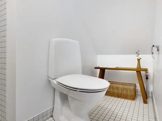 Apart Daire, 1 Yatak Odası, Buzdolabı