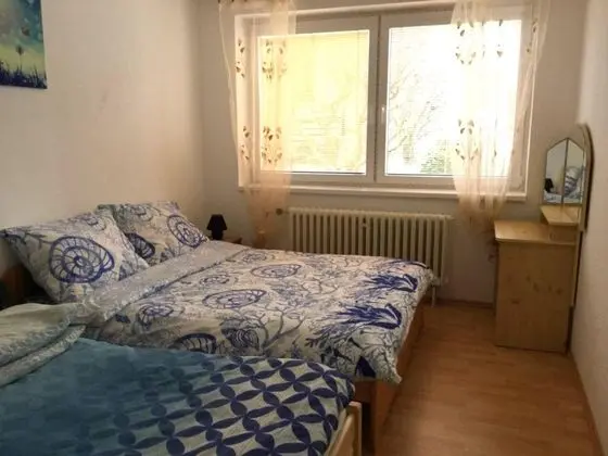 Oda Özellikleri