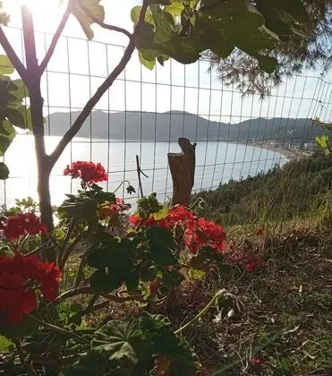 Apart Daire, Birden Çok Yatak