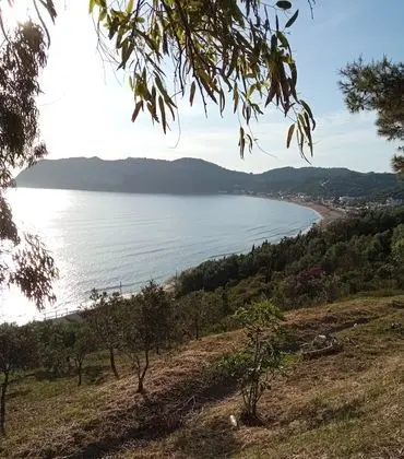 Apart Daire, Birden Çok Yatak