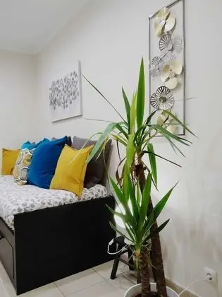 Apart Daire, 1 Yatak Odası